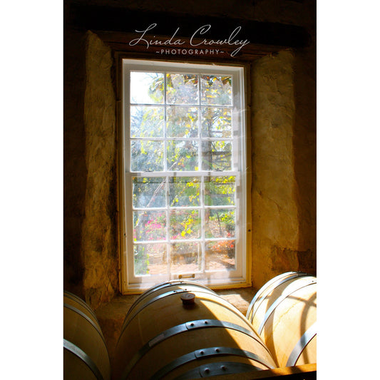 Winery Wine Barrels Basking in the Sun